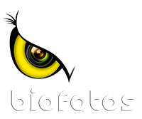 Biofotos Logo